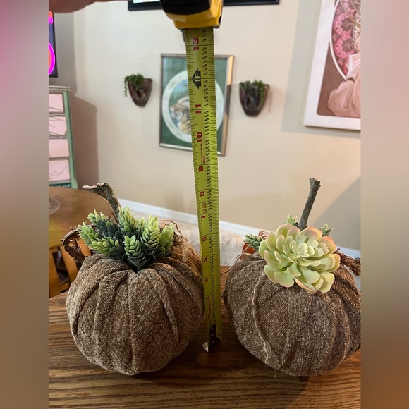 Set of 2 Handmade Succulent Chenille Fall Pumpkins - Fabric Fall Pumpkins - Boho - Picture 14 of 14